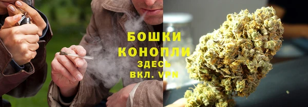 эйфоретик Снежногорск
